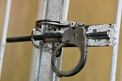 Россиянин получил срок за организацию преступного сообщества